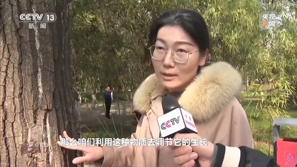 焦点访谈丨花粉过敏成“隐形烦恼” 生态和健康之间如何找平衡？(图11)