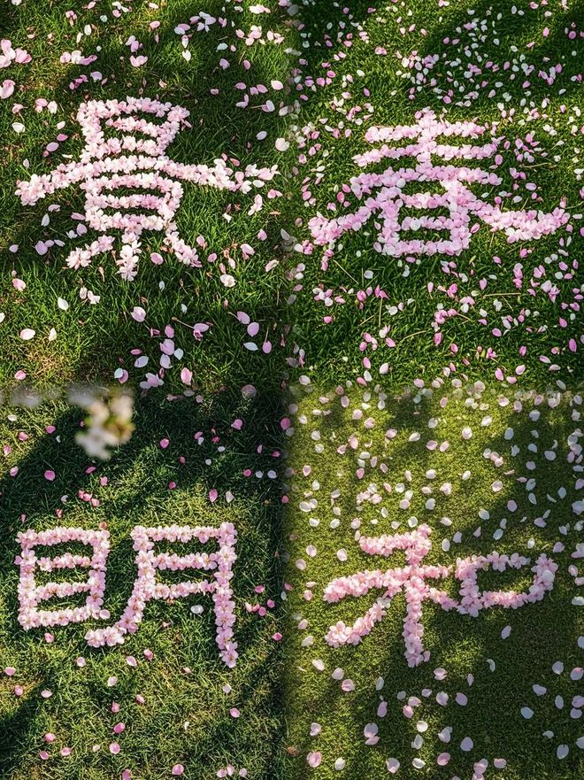 别人的春和景明 我的氯雷他定(图1)