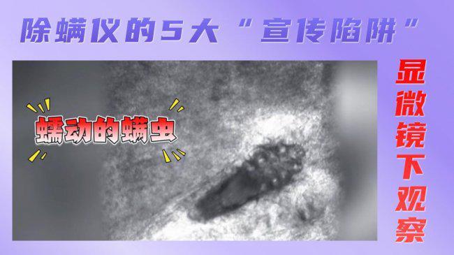 什么除螨仪牌子又好又便宜？盘点2026除螨仪排行榜10强品牌榜单(图2)