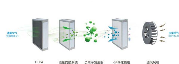 春季过敏高发期 驾车风险要警惕