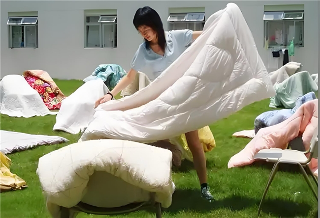 除螨喷雾是智商税吗？仙贝宁除螨率9999%实力派不踩雷(图1)