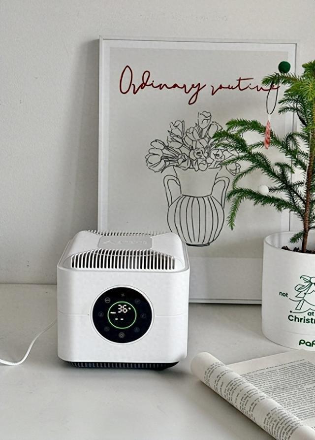 2026最新桌面净化器榜单TOP5参数虚标、滤网短命款全排雷