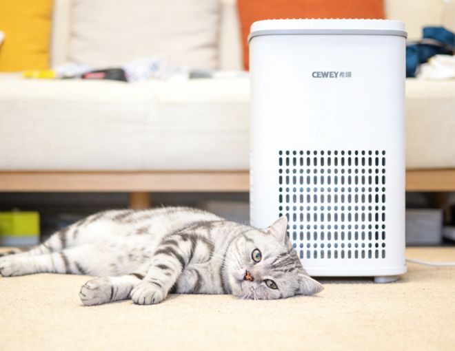 2026年十大排名宠物空气净化器 除猫毛哪个牌子好？10机型测评解析