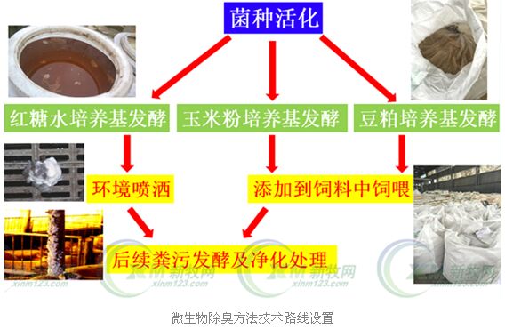 肉制品行业现状与发展趋势分析(2026年)