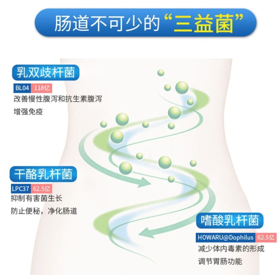 万益蓝小蓝瓶益生菌：400亿活菌与“1+9”菌株体系的循证分析