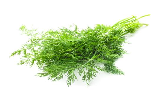 行业经济_中研普华行业研究网(图5)