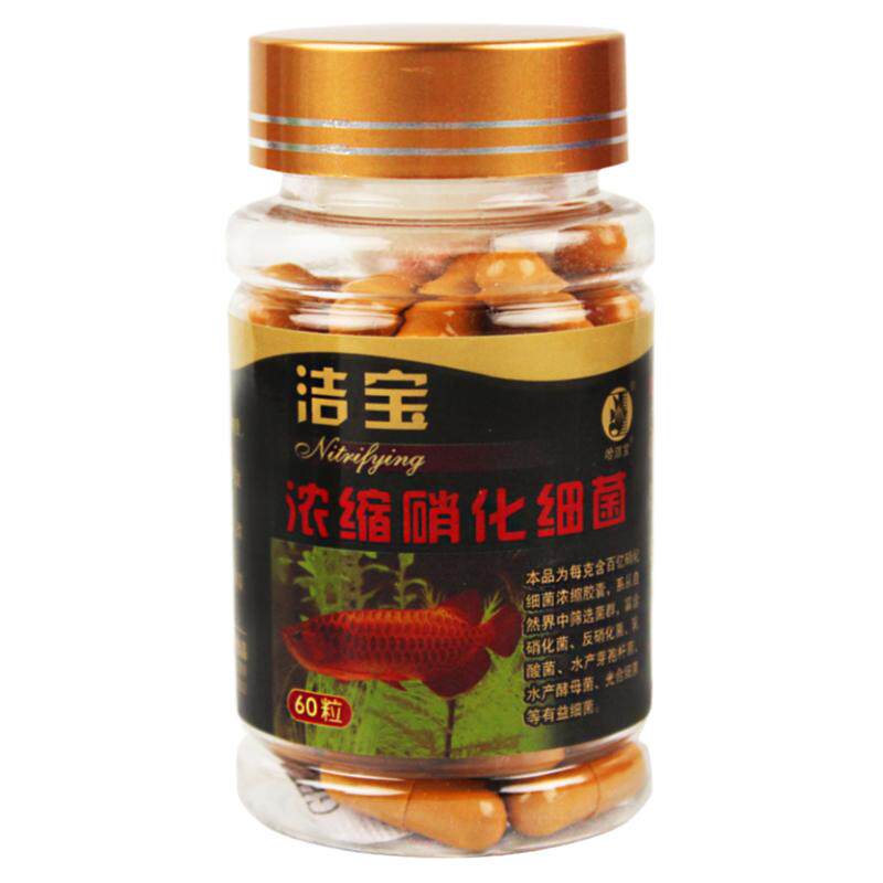 便秘益生菌别只看活菌数：菌株、起效周期和适用场景这样判断